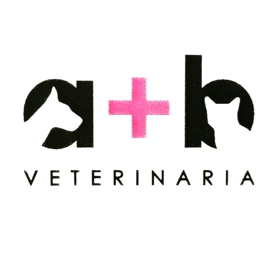 Logo de a + b Veterinaria