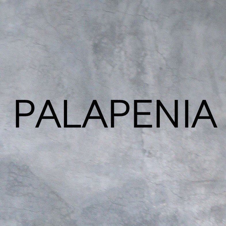 Logo de PALAPENIA