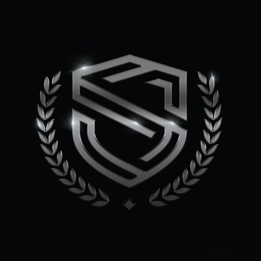 Logo de SAULNIER Automotores