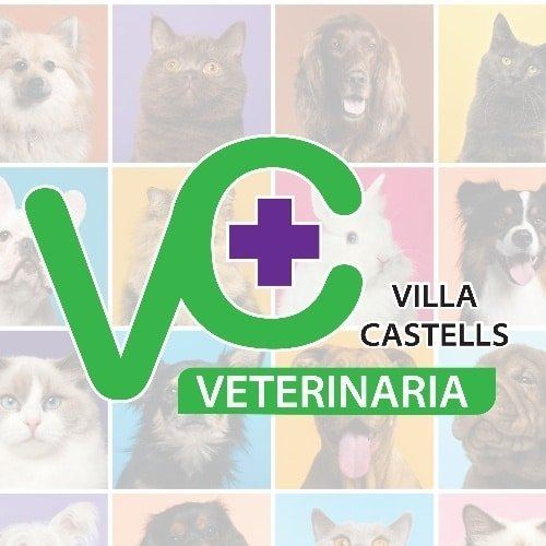 Veterinaria Villa Castells