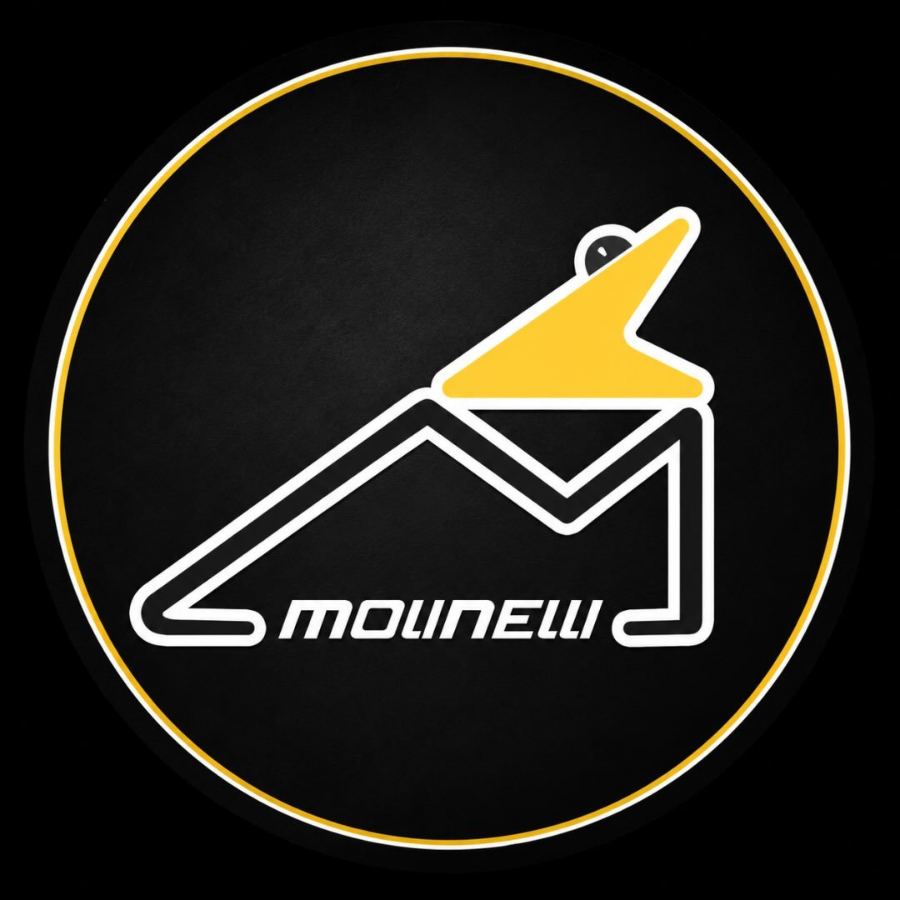 Logo de Molinelli Deportes